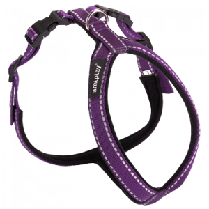 AMGHL-REF-PU